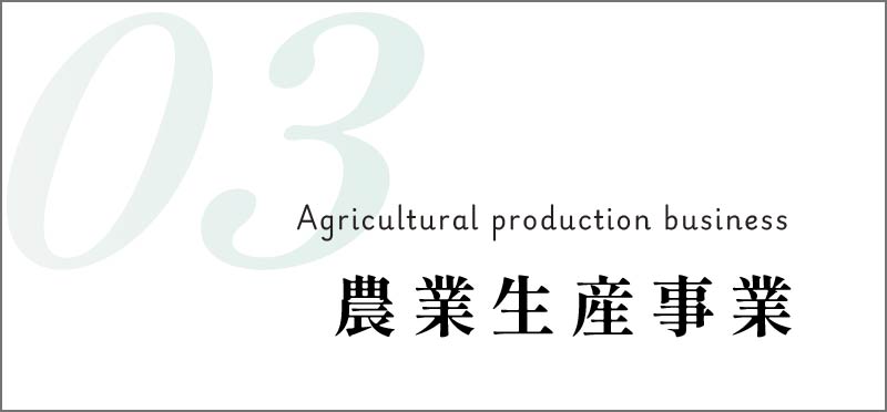 農業生産事業